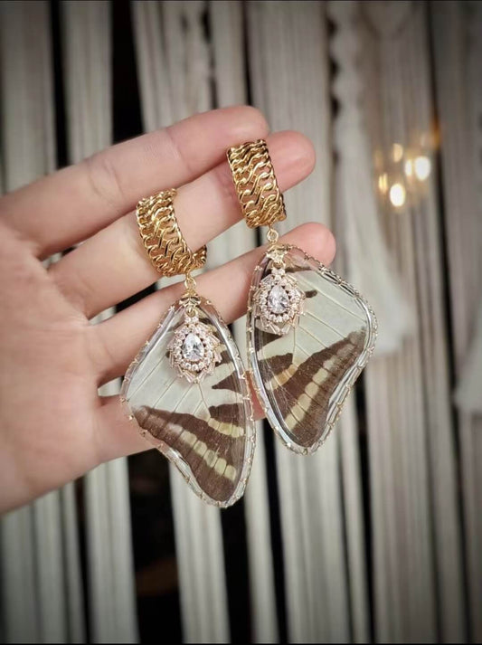 Real Butterfly Wings Earrings